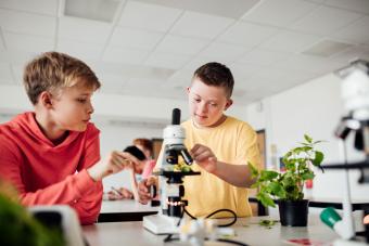 Next Generation Science Standards and Students with Disabilities: Effective Teaching Strategies